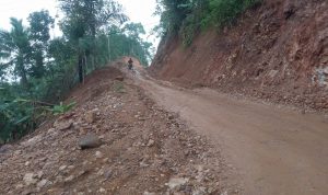 WhatsApp Image 2024-11-08 at 18.00.46