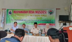 WhatsApp Image 2025-02-27 at 18.07.56