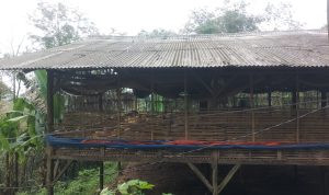 WhatsApp Image 2025-04-12 at 18.15.09