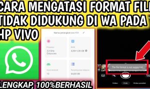 10 Cara Mengatasi Format File Tidak Didukung di WA HP VIVO Terbaru