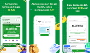 Review Lumbung Dana Pinjaman Online, Aman atau Penipuan?