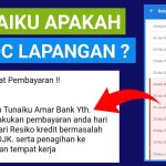 Tunaiku Apakah Ada DC Lapangan Ke Rumah? Review Galbay 4 Tahun!