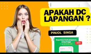 Apakah Pinjol Singa Memiliki DC Lapangan? Ini Review Pengalaman Lengkap Nasabah