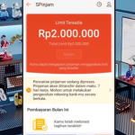 Cara Pinjam Uang di Shopee Proses Cepat Langsung Cair Terbaru Untuk Pemula