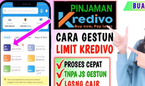 Cara Gestun Limit Kredivo Sendiri Aman Langsung Cair ke DANA