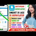 10 Cara Daftar dan Mengaktifkan GoPayLater lewat Tokopedia Untuk Pemula