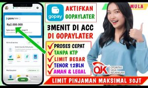 10 Cara Daftar dan Mengaktifkan GoPayLater lewat Tokopedia Untuk Pemula