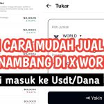 4 Cara Mencairkan Saldo Hasil Nambang Di Apk X World Sampai Masuk Ke Usdt/Dana Terbaru 2025