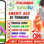 Cara Pinjam Uang di Tunaiku Pinjaman Online Agar Cepat Cair