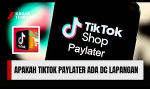 Apakah Galbay TikTok Paylater Ada DC Lapangan? Wajib Tahu Ini