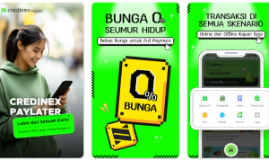 Galbay Credinex Apakah Sudah Ada Dc Lapangan? Ini Pengalaman Terbaru