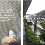 Gaji Karyawan PT Longrich Cirebon Viral di TikTok, Ini Fakta Lengkapnya