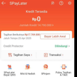 Pengalaman Galbay SPaylater 17JT, Ini Resiko Yang Ia Hadapi