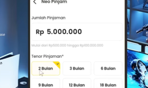 8 Cara Pinjam Uang di Neobank Terbaru (Neo Pinjam) Cepat ACC