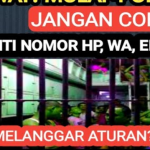 3 Risiko Ganti Nomor HP, WA, Email, dan Medsos Saat Galbay Pinjol