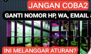 3 Risiko Ganti Nomor HP, WA, Email, dan Medsos Saat Galbay Pinjol