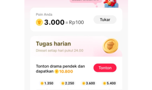 PineDrama Apakah Terbukti Membayar dan Aman? Berikut Review Terbarunya!