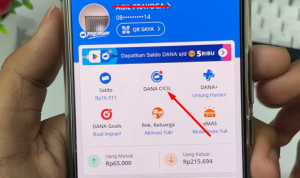 Dana Cicil Tidak Muncul? Ini Penyebab dan Cara Mengaktifkannya Tanpa Ribet