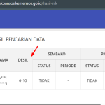 3 Cara Cek Desil Bansos 2026, Bisa Online dan Offline dengan Mudah
